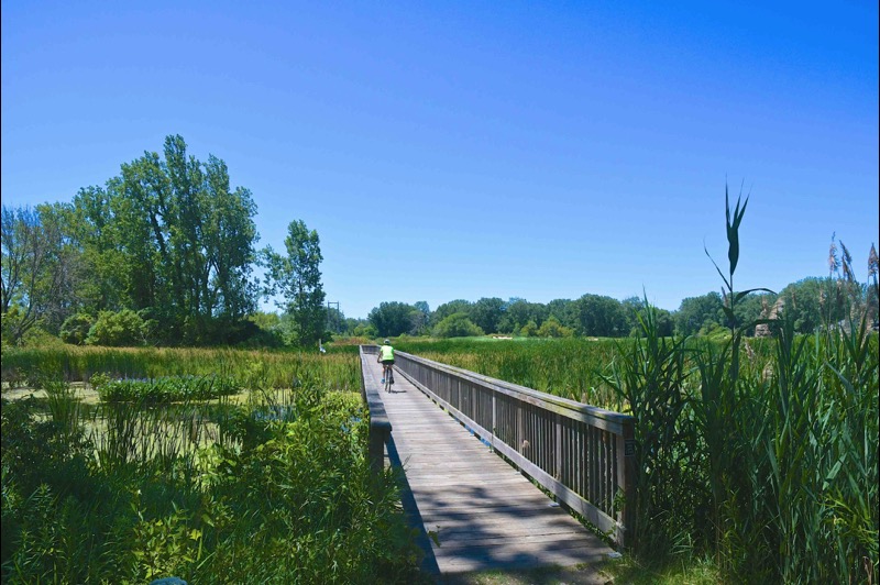 Harbor Shores Trails